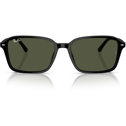 Ray-Ban Raimond RB2231 901/31 – Schwarz / Grün