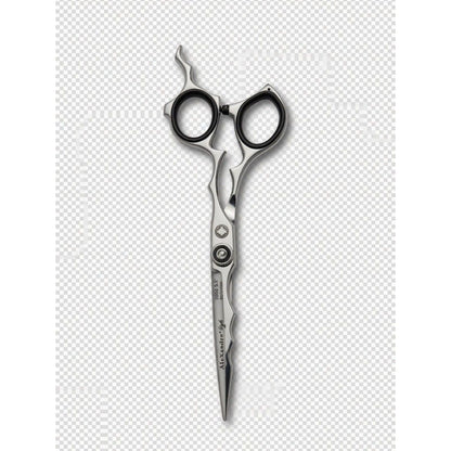 Alexander Style ProLevel 5559-6,5 Zoll Profi Friseurschere Japanischer Edelstahl