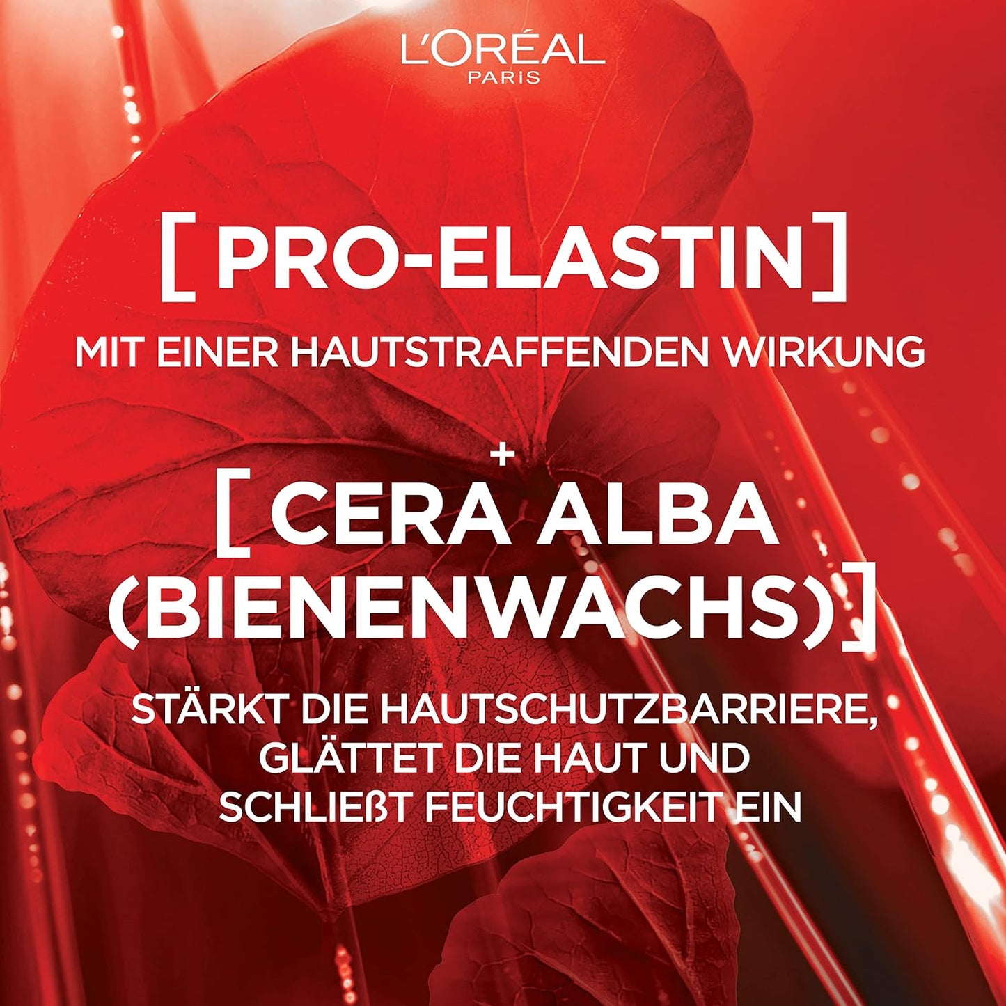 L'Oréal Paris Feuchtigkeitsspendende Tagescréme für Frauen: sorgt für ein strafferes Hautbild & stärkt die Hautschutzbarriere mit Pro-Elastin & Bienenwachs (Cera Alba)Revitalift, 1x 50ml