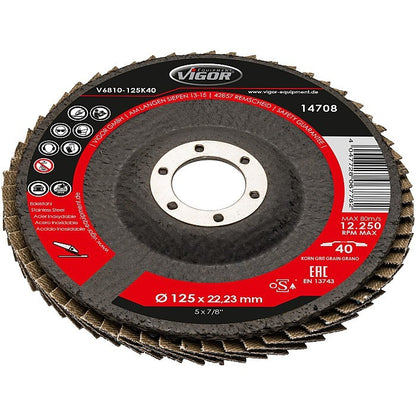 VIGOR Fächerscheiben 125mm K60 V6810-125K60 10er Set