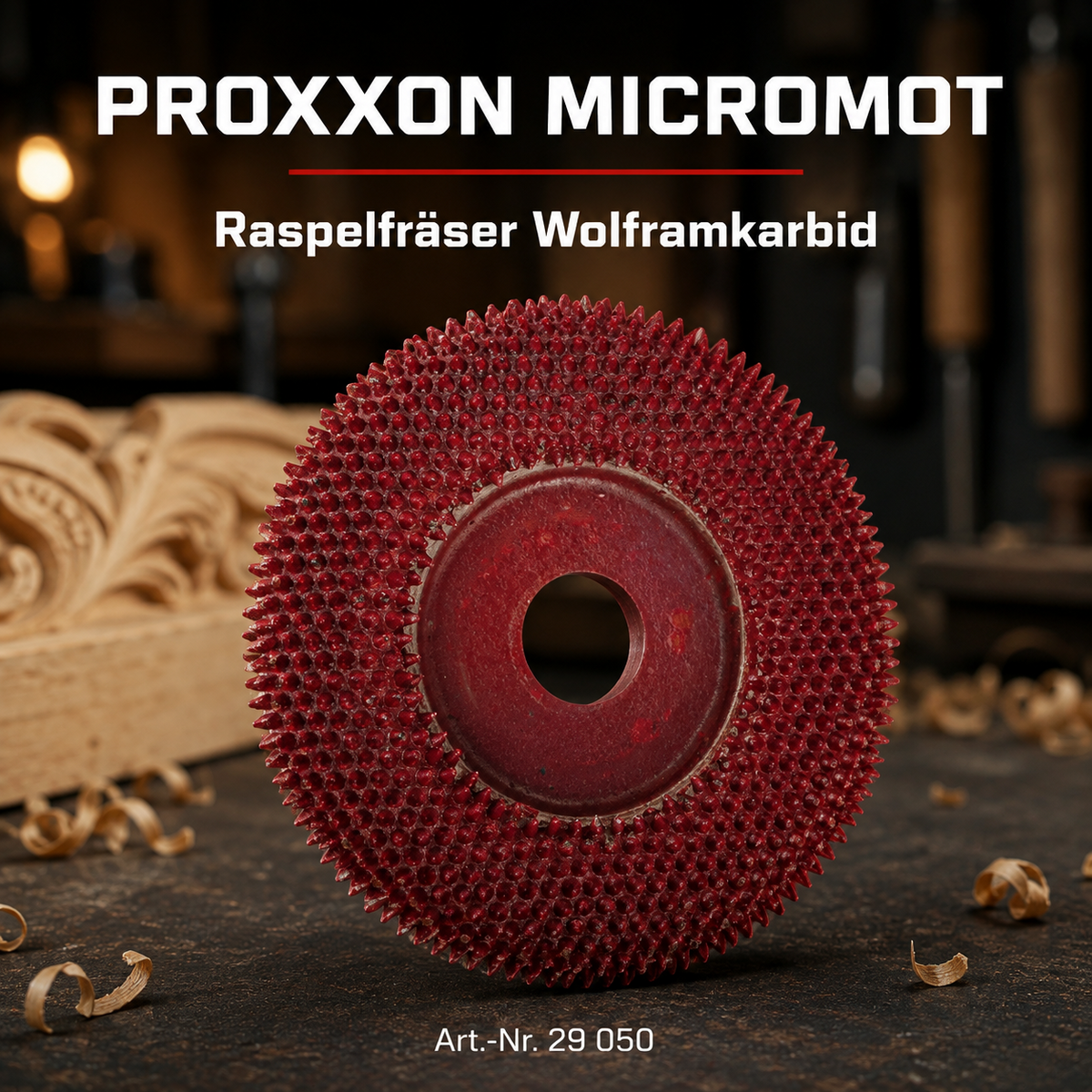 Proxxon Raspelscheibe für Langhals-Winkelschleifer LWS