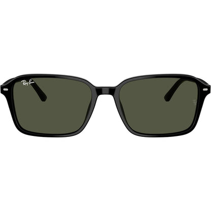 Ray-Ban Raimond RB2231 901/31 – Schwarz / Grün